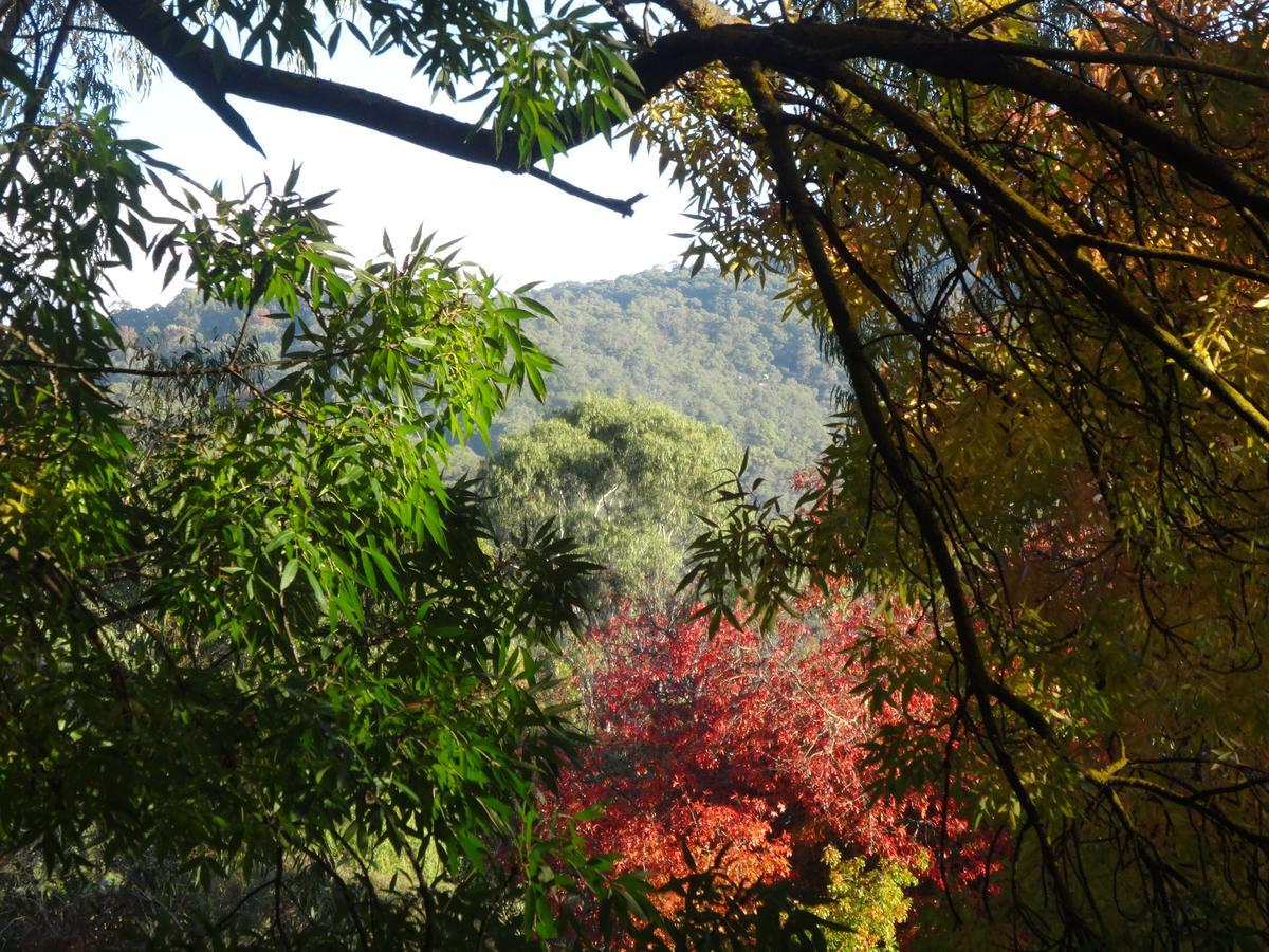 Yarra Ranges Country Apartment Mount Evelyn Buitenkant foto