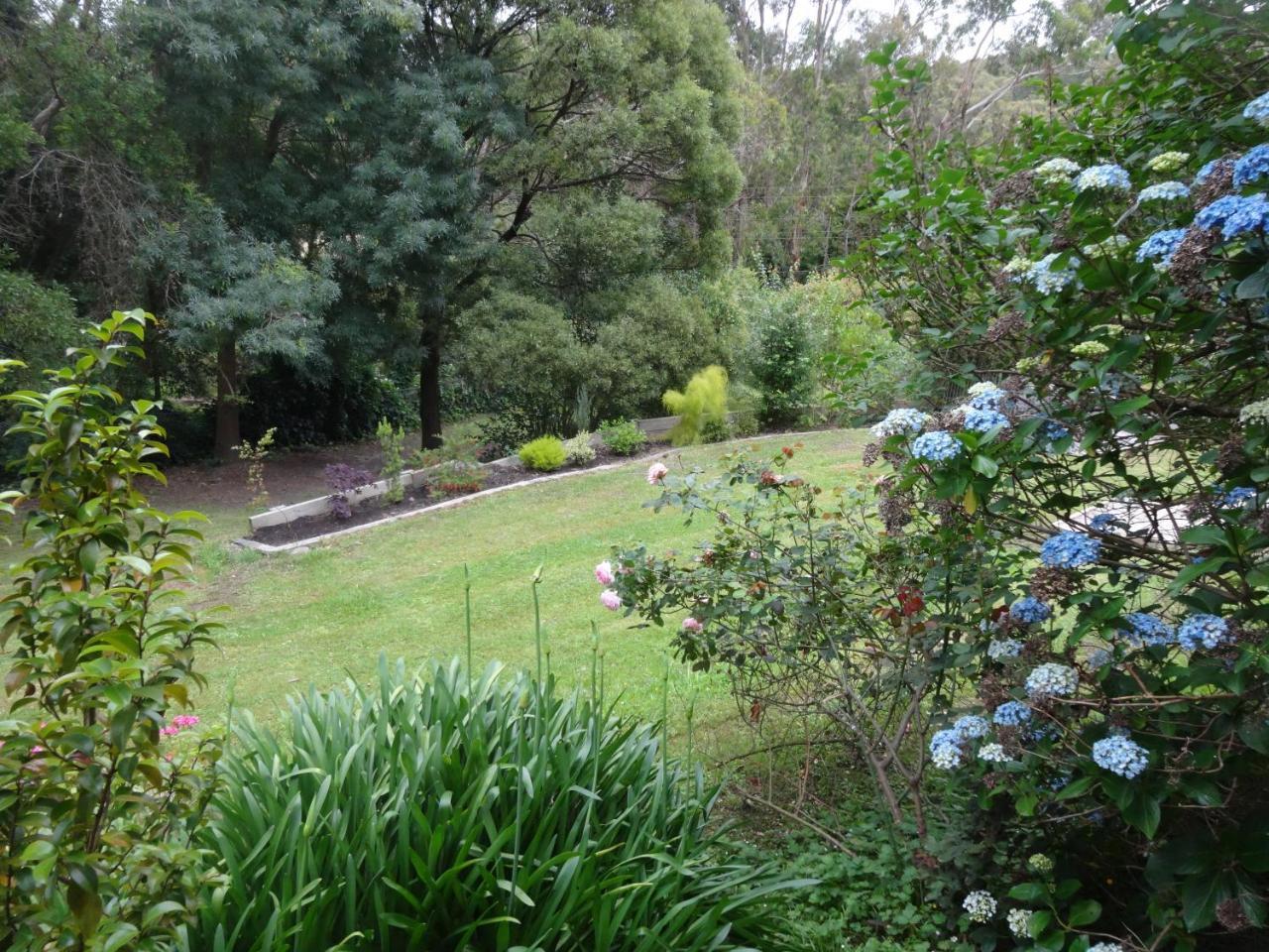 Yarra Ranges Country Apartment Mount Evelyn Buitenkant foto