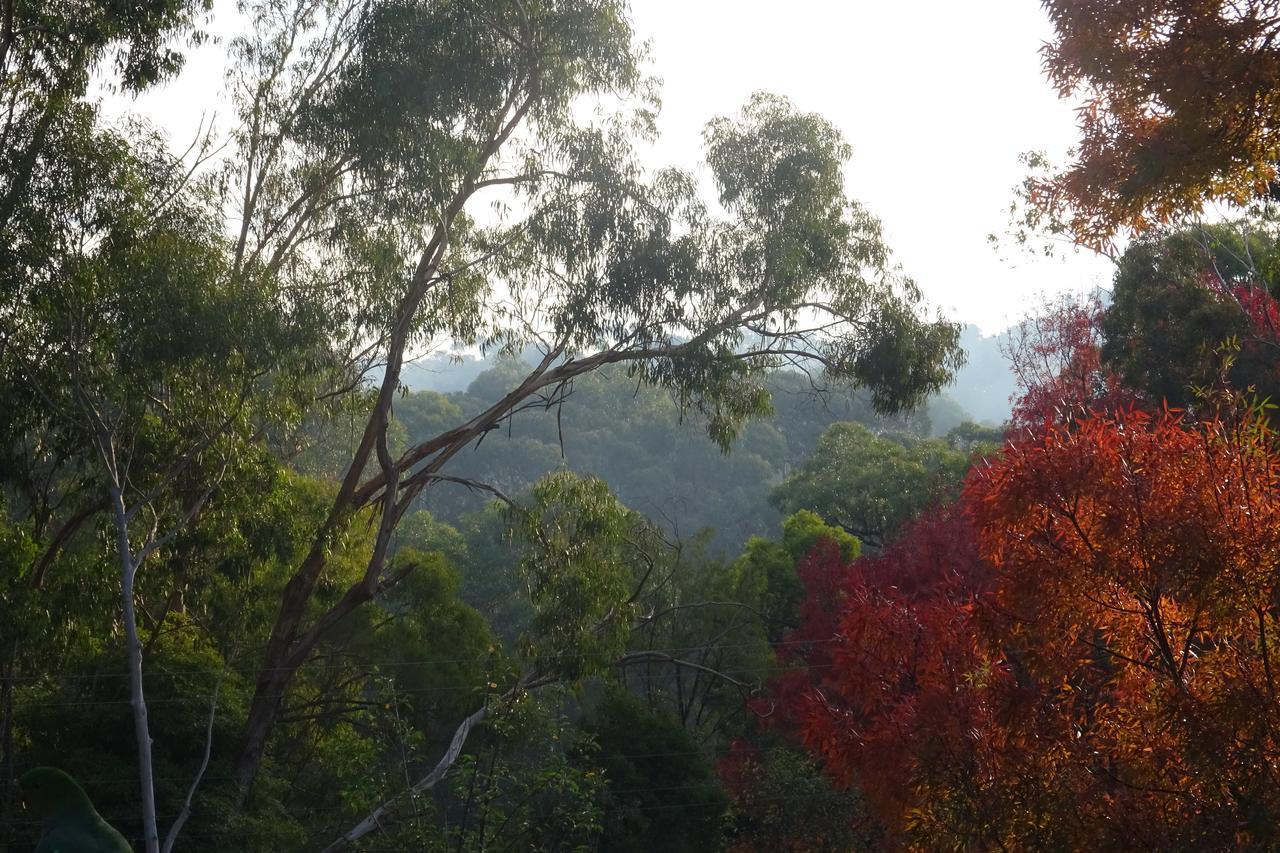 Yarra Ranges Country Apartment Mount Evelyn Buitenkant foto