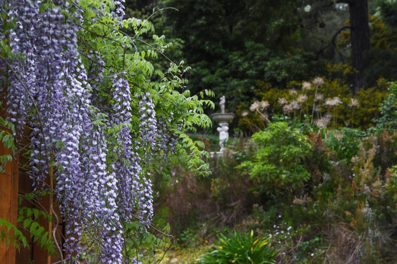 Yarra Ranges Country Apartment Mount Evelyn Buitenkant foto