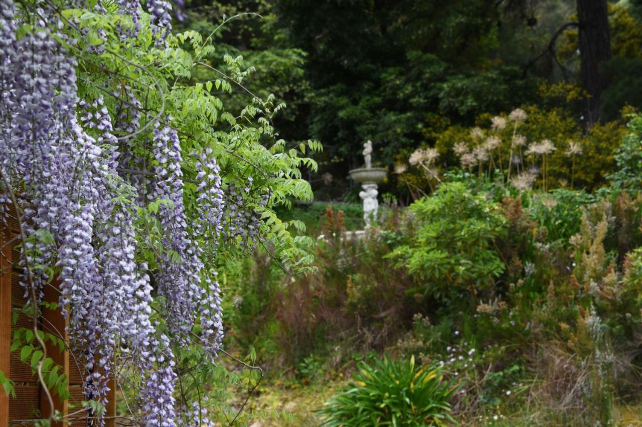 Yarra Ranges Country Apartment Mount Evelyn Buitenkant foto